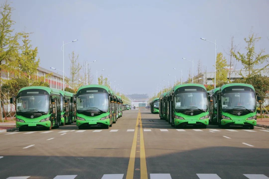 1693900175112244.jpg 1.jpg