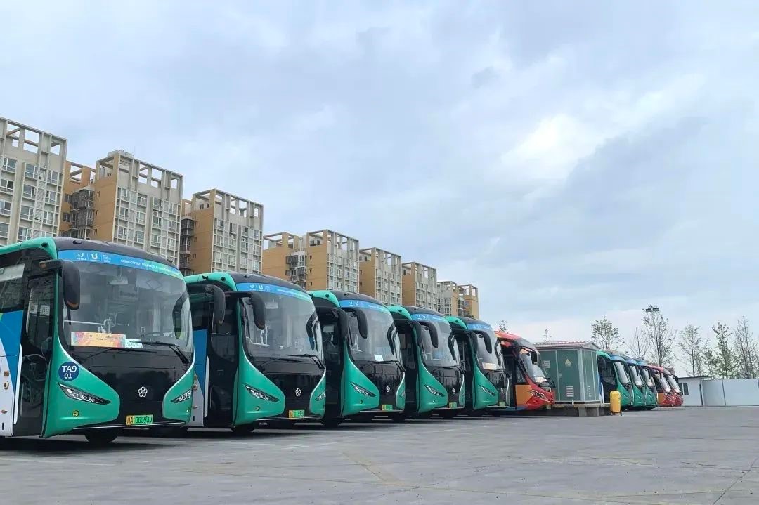 1702016094474382.jpg 6.jpg