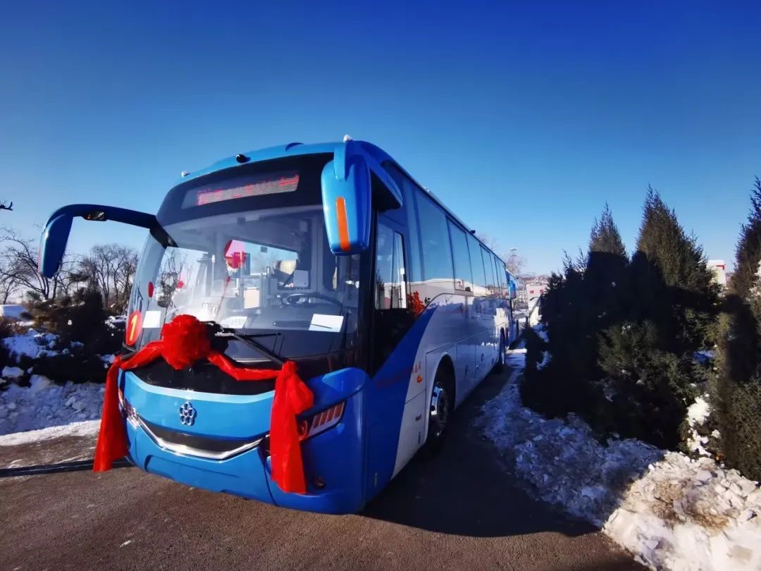 1703234324876987.jpg 11.jpg